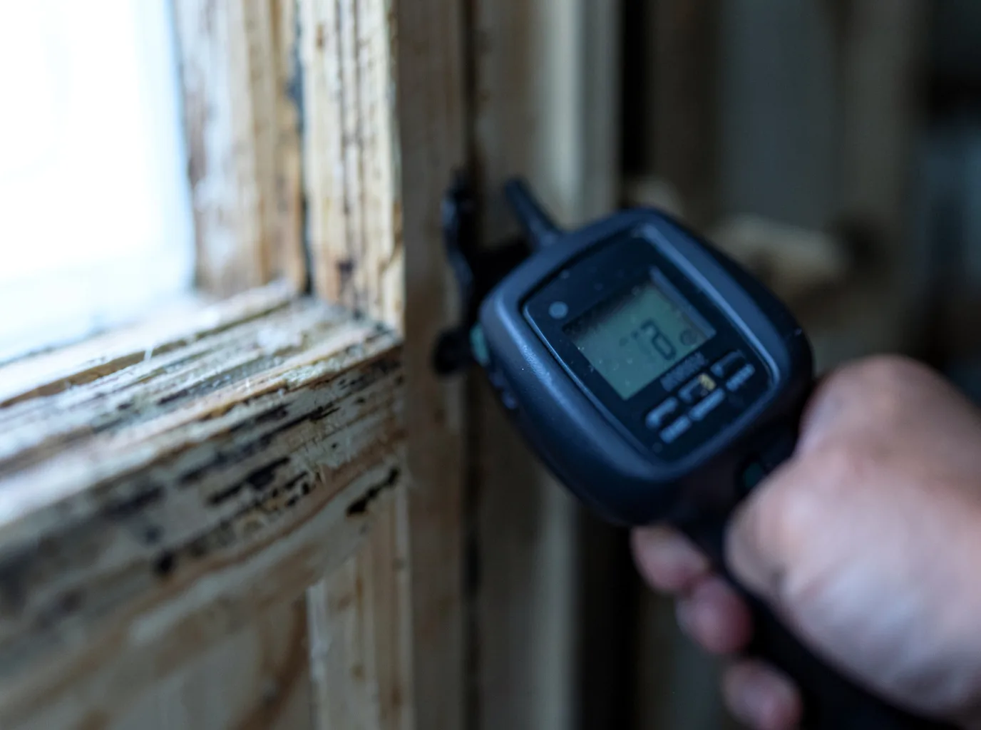 Commercial Water Damage Restoration in Rogue River, OR